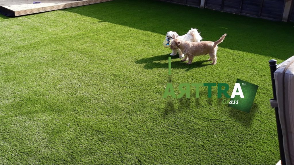25mm Artificial Lawn for Dogs