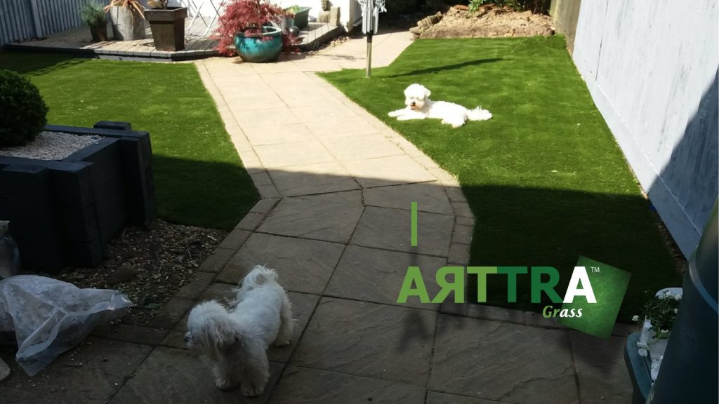ARTTRAGrass® Artificial Dog Grass