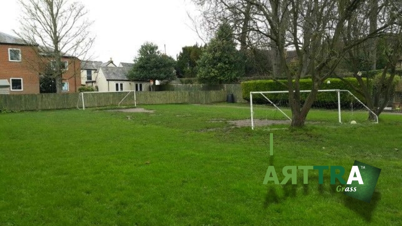 ARTTRA Grass Before Winchester House School