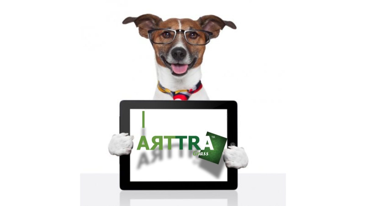 The Ultimate Guide to K9 Artificial Grass