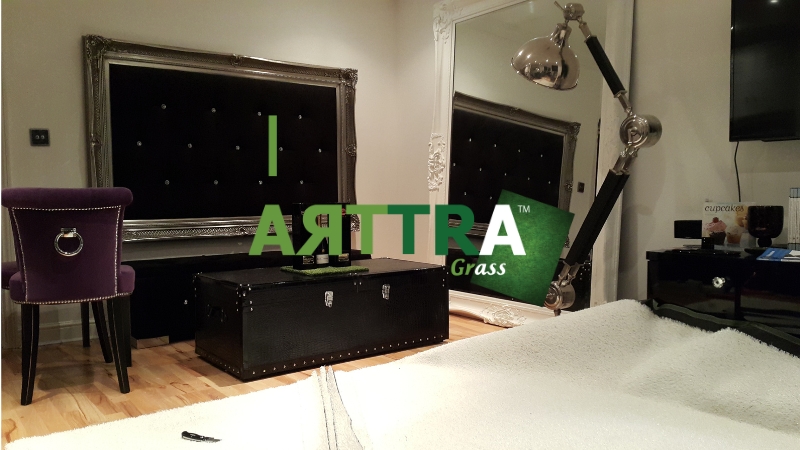 White Grass Frozen Theme Party