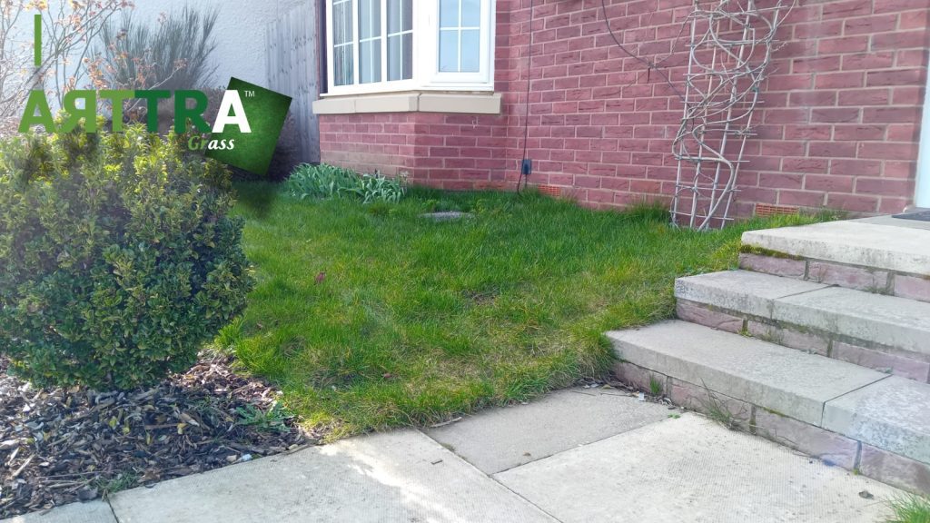 Artificial Lawn Raunds Before Left