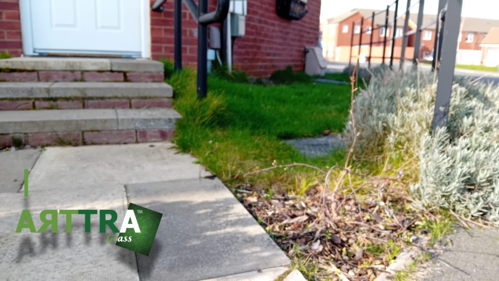 Artificial Lawn Raunds Before Right